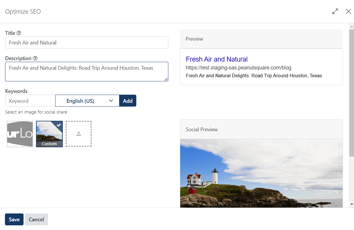 Maximize your SEO potential and reach a wider audience